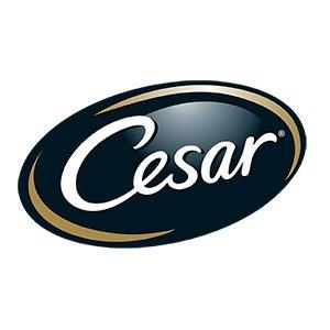 Cesar